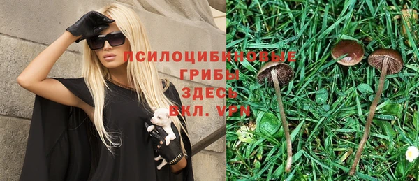 а пвп мука Переславль-Залесский