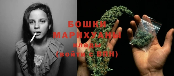 шишки Пестово
