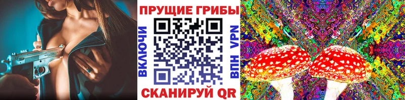 Псилоцибиновые грибы мицелий  Балахна 